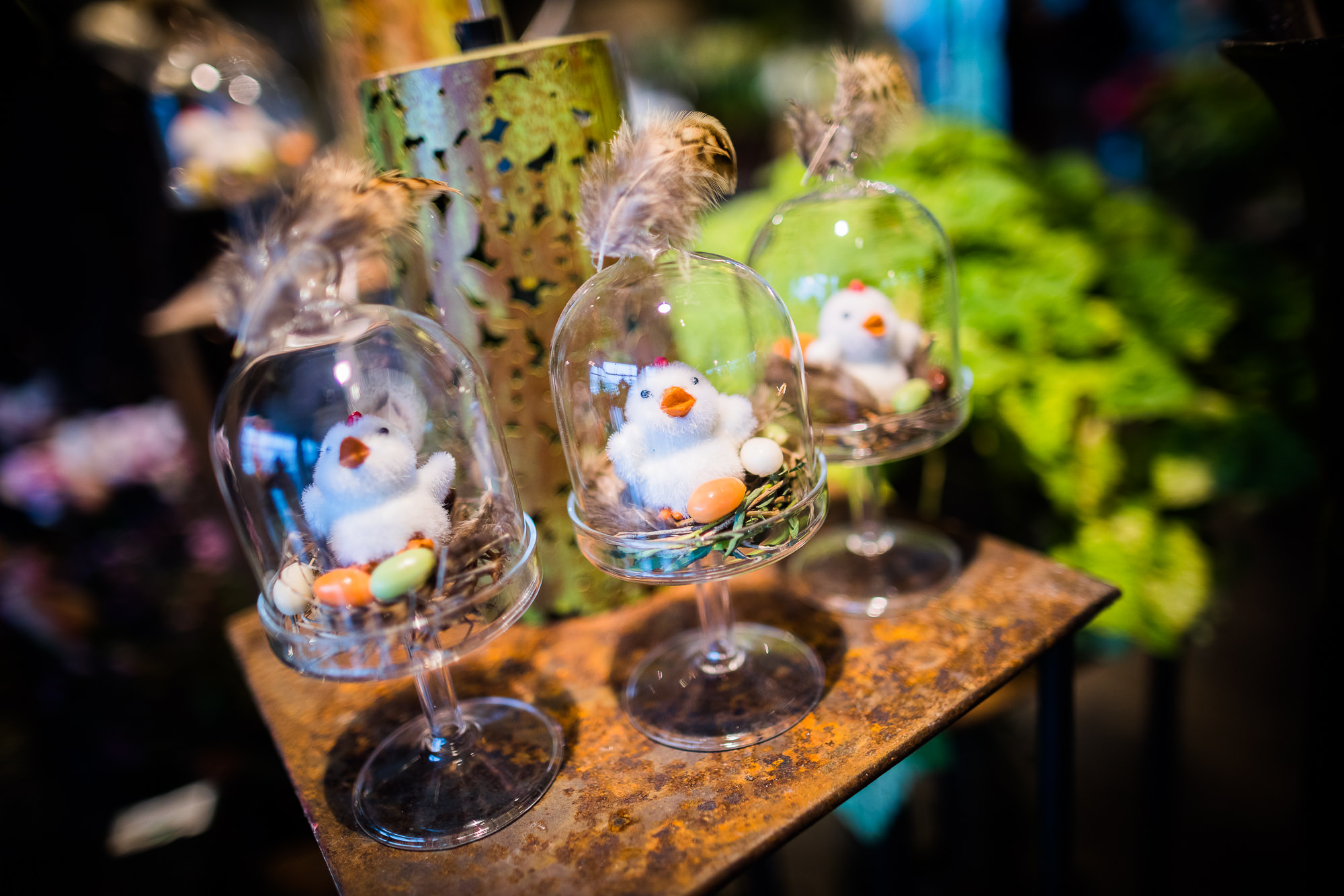 Export x3 5D4 9415 Businessauftrag 2017 Blattform Aarau